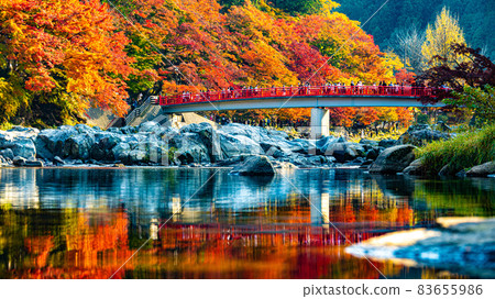 Beautiful autumn leaves of Asuke where many maples and maples are dyed bright red 83655986