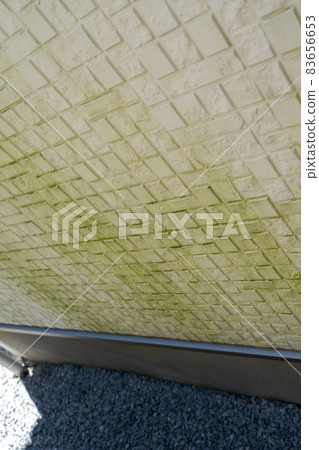 Moss on the outer wall 83656653