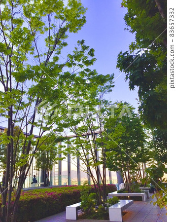 Abeno Harukas Observatory 16th floor Garden view 83657332