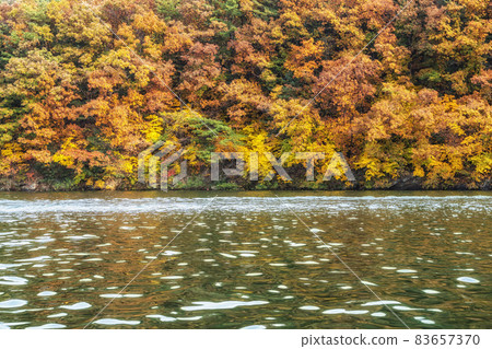 Autumn leaves near river 83657370