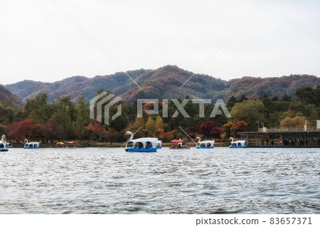 Duck pedal boat in Namiseom Duck pedal boat in Namiseom 83657371