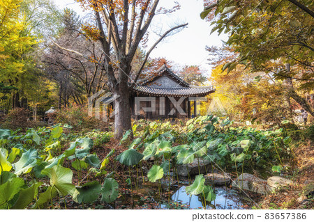 Nami Island Pavilion Nami Island Pavilion 83657386
