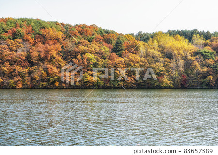 Autumn leaves near river 83657389