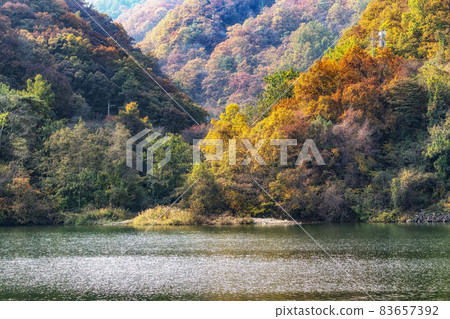 Autumn leaves near river Autumn leaves near river 83657392