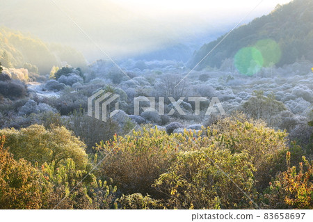 秘密花園、森林仙子、秋景 秘密花園、森林仙子、秋景 83658697