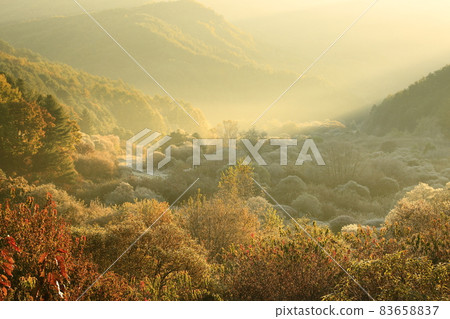 秘密花園、森林仙子、秋日晨景 秘密花園、森林仙子、秋日晨景 83658837