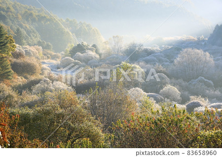 秘密花園、森林仙子、秋景 83658960