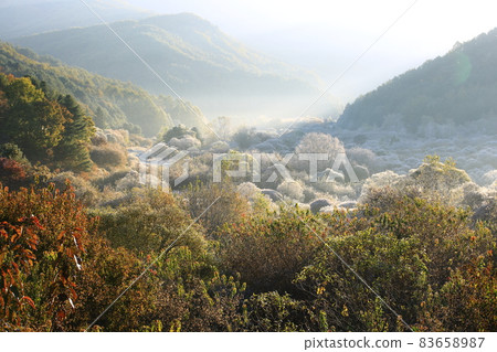 Secret Garden, Forest Fairy, Autumn Scenery Secret Garden, Forest Fairy, Autumn Scenery 83658987