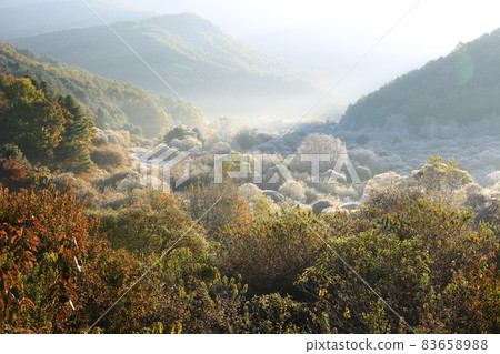 Secret Garden, Forest Fairy, Autumn Scenery Secret Garden, Forest Fairy, Autumn Scenery 83658988