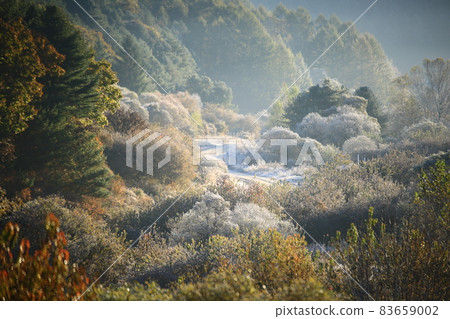 秘密花園、森林仙子、秋景 秘密花園、森林仙子、秋景 83659002