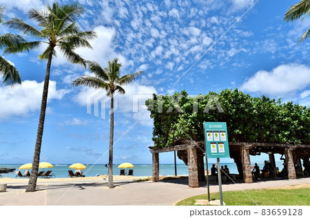 Holidays in Hawaii 83659128