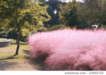 秋天的風景,瀑布的風景 秋天的風景,瀑布的風景 83660158