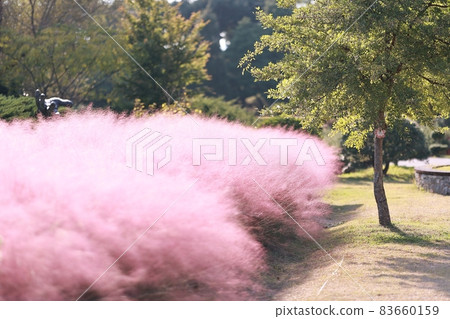 秋天的風景,瀑布的風景 秋天的風景,瀑布的風景 83660159