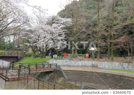 岐阜步行80(岐阜縣岐阜市) 岐阜步行80(岐阜縣岐阜市) 83660670