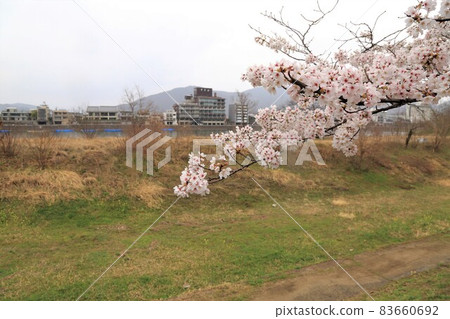 Gifu walk 100 (Gifu City, Gifu Prefecture) 83660692