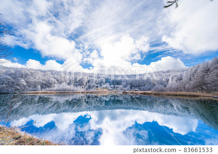 [Winter material] Rime and reflection in the Hijiri Highlands [Nagano Prefecture] 83661533
