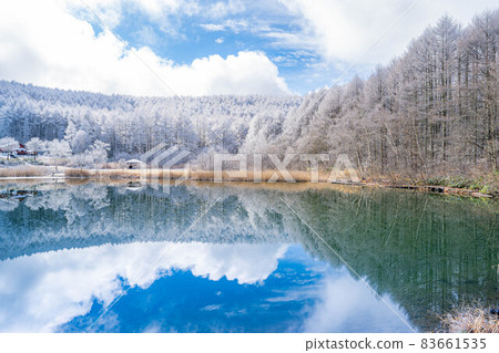 [Winter material] Rime and reflection in the Hijiri Highlands [Nagano Prefecture] 83661535