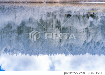 [Winter material] Rime and reflection in the Hijiri Highlands [Nagano Prefecture] 83661541