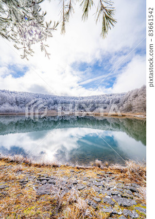 [Winter material] Rime and reflection in the Hijiri Highlands [Nagano Prefecture] 83661542