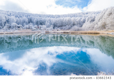 [Winter material] Rime and reflection in the Hijiri Highlands [Nagano Prefecture] 83661543
