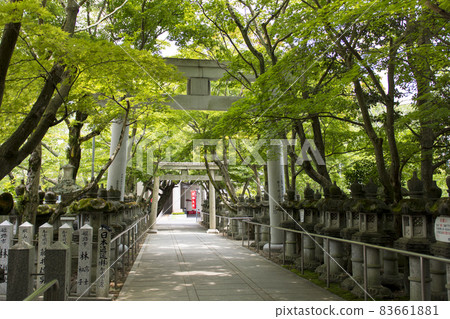 鹿島神社參拜參拜道(兵庫縣高砂市) 鹿島神社參拜參拜道(兵庫縣高砂市) 83661881