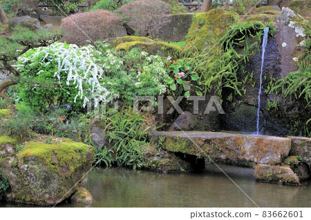 岐阜步行（岐阜縣岐阜市） 83662601