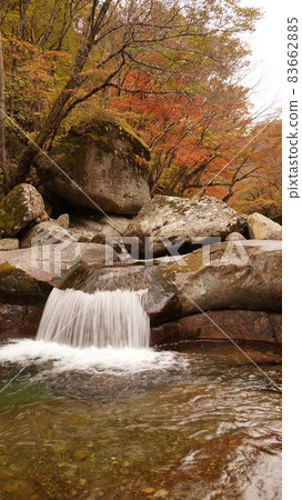 Beautiful autumn valley scenery in Korea Beautiful autumn valley scenery in Korea 83662885