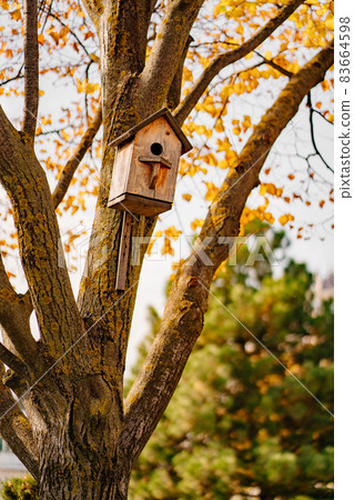 birdhouse on an autumn tree. the beauty of nature and the care of birds. birdhouse on an autumn tree. the beauty of nature and the care of birds. 83664598