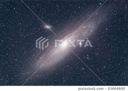 Andromeda Galaxy (M31) Andromeda Galaxy (M31) 83664600