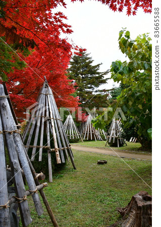 Uesugi Shrine Uesugi Memorial Hall Matsugasaki Shrine Uesugi Shrine Uesugi Memorial Hall Matsugasaki Shrine 83665588