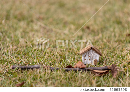 Small house on the lawn (autumn version) 83665898