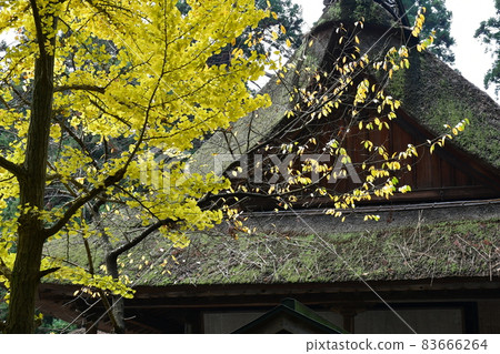 熊野神社東北伊勢日本三熊野 83666264