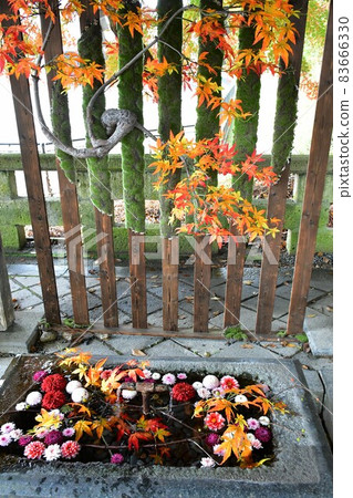 Kumano Shrine Tohoku Ise Japan's Three Kumano 83666330