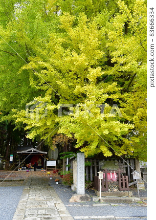 Kumano Shrine Tohoku Ise Japan's Three Kumano Kumano Shrine Tohoku Ise Japan's Three Kumano 83666334