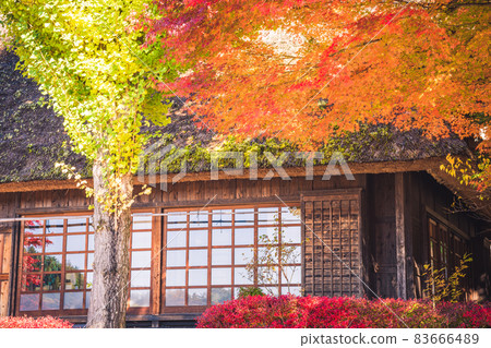 被染成秋色的日式房屋 《攝影合作：佐藤齋子彩子》 83666489