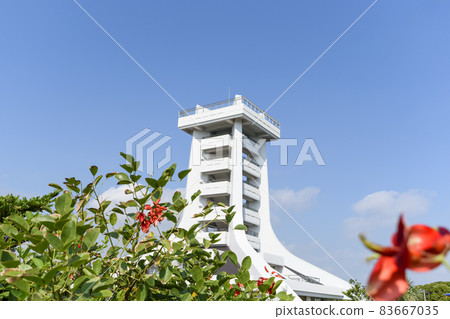 Chiba Prefecture Hasunuma Seaside Park Observation Tower and Deigo Flowers Chiba Prefecture Hasunuma Seaside Park Observation Tower and Deigo Flowers 83667035