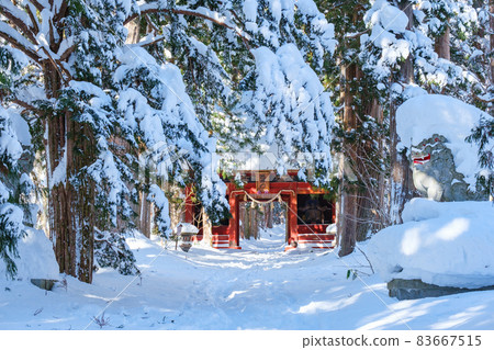 Togakushi Shrine / Okusha (winter) Togakushi Shrine / Okusha (winter) 83667515
