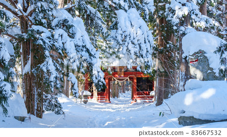 Togakushi Shrine / Okusha (winter) Togakushi Shrine / Okusha (winter) 83667532