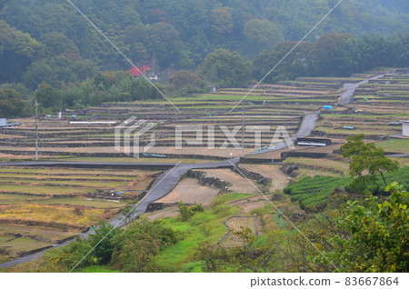 Road up the rice terraces << Kai City >> 83667864