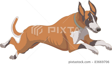 A large red hound dog in a rapid jump. A large red hound dog in a rapid jump. 83669706