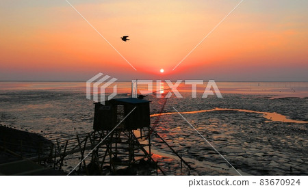 Kashima Tanajibu and Asahi 83670924