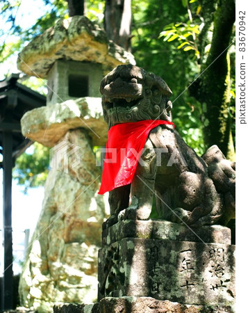 初夏，一隻護衛犬沐浴在陽光下穿過樹木 83670942