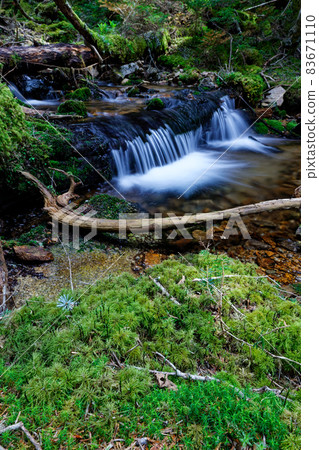 The mossy stream at the headwaters of the Okuchichibu and Chikuma Rivers 83671110