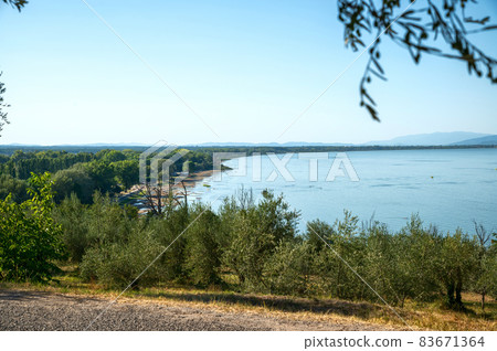 Castiglione del Lago Trasimeno, Umbria, Italy. August 2020. A magnificent olive grove surrounds the walls of the historic village. In the background the lake. Castiglione del Lago Trasimeno, Umbria, Italy. August 2020. A magnificent olive grove surrounds the walls of the historic village. In the background the lake. 83671364