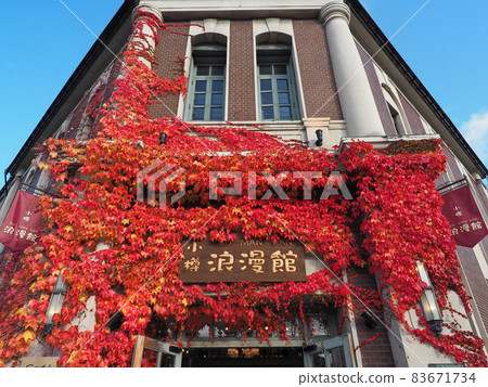 長滿常春藤紅葉的小樽浪漫館(舊小樽銀行小樽分行,歷史建築) 長滿常春藤紅葉的小樽浪漫館(舊小樽銀行小樽分行,歷史建築) 83671734