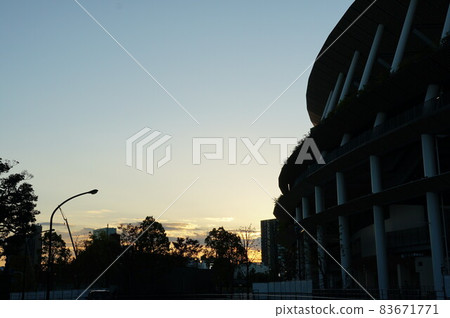 秋，⒒月。今天天氣暖和，所以我早點去了神宮外苑去看銀杏。樹木在陽光下閃閃發光 83671771