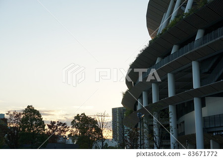 秋,⒒月。今天天氣暖和,所以我早點去了神宮外苑去看銀杏。樹木在陽光下閃閃發光 秋,⒒月。今天天氣暖和,所以我早點去了神宮外苑去看銀杏。樹木在陽光下閃閃發光 83671772