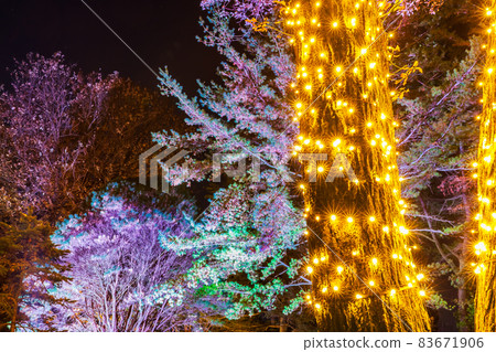 Illuminations of Musashi Kyuryo Forest Park, Saitama Prefecture 83671906