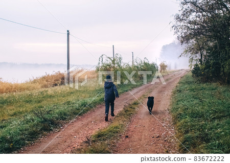 Boy and dog in the forest. A cocker spaniel is running alongside the child along a country road. Walk with a black pet among the autumn trees. 83672222