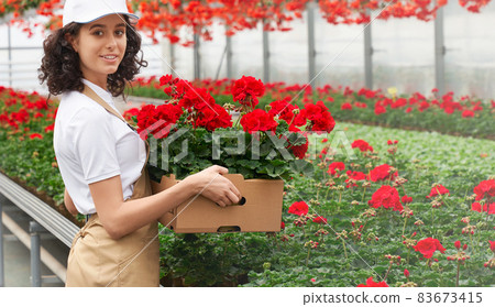 Cute young woman collect flowers for sale. Cute young woman collect flowers for sale. 83673415
